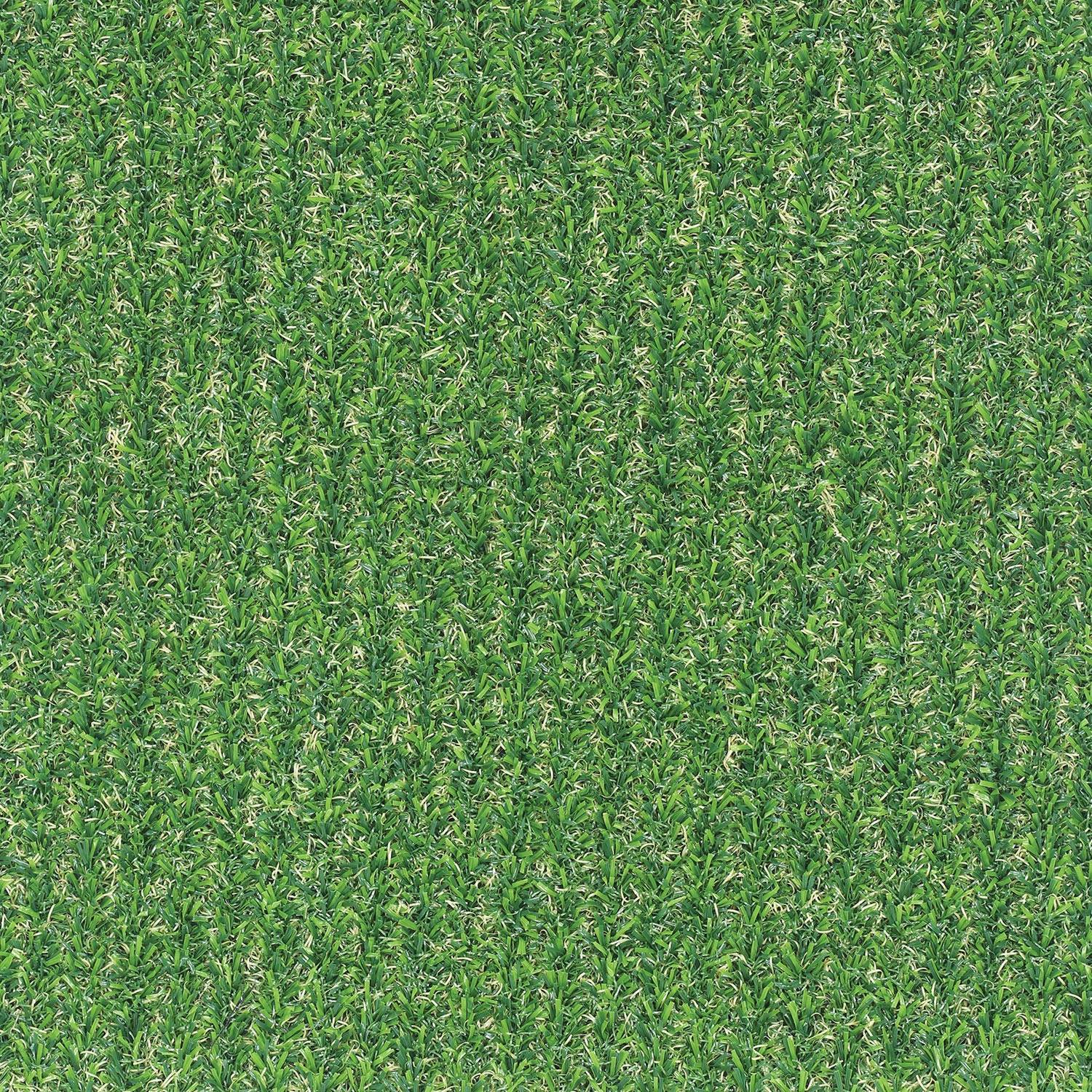 ARTIFICIAL GRASS (10MM) (EJ)  