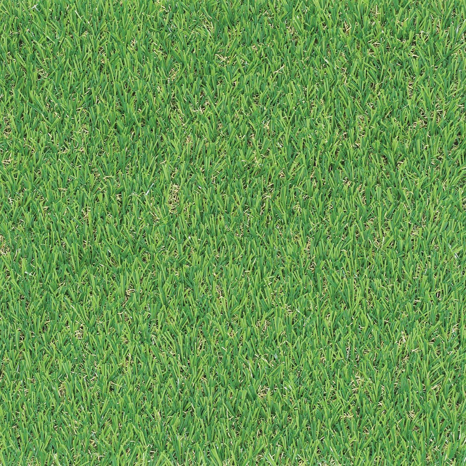 ARTIFICIAL GRASS (25MM) (M)