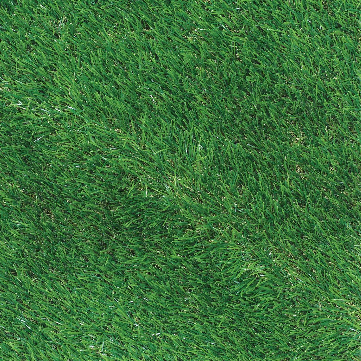 ARTIFICIAL GRASS (35MM) (M)