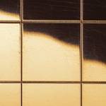  MS 20x20 flex Classic Gold AR