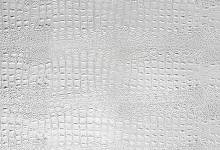 SL CROCO Silver PF met/Silver