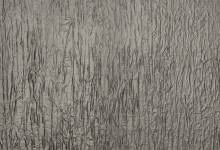 SL CRASHED OLD Platin NA