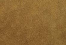  FL VELVET Curry Antigrav