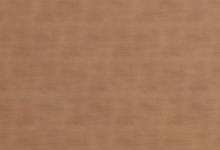 DM SLIGHTLY USED Copper AR