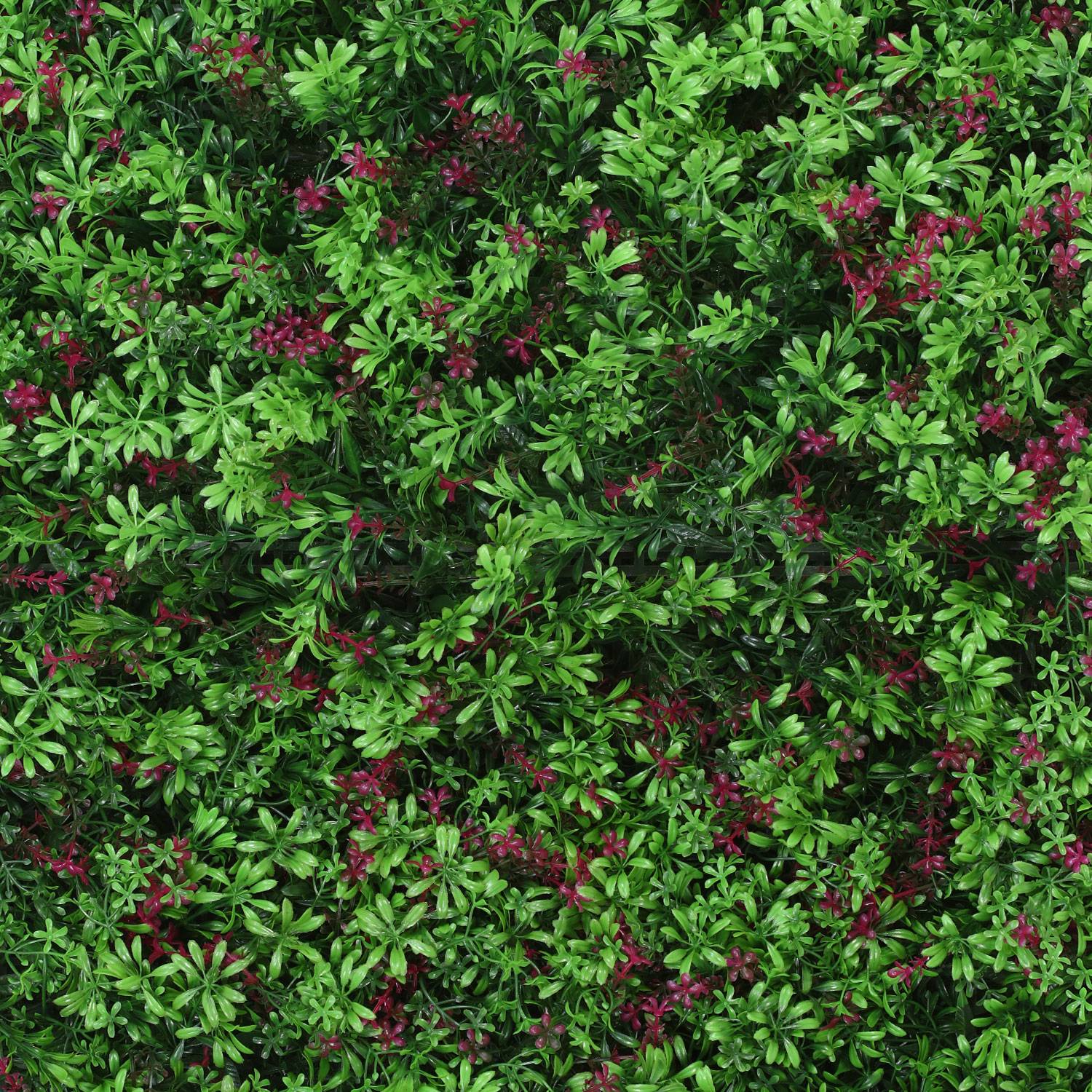 VERTICAL GARDEN  T-23