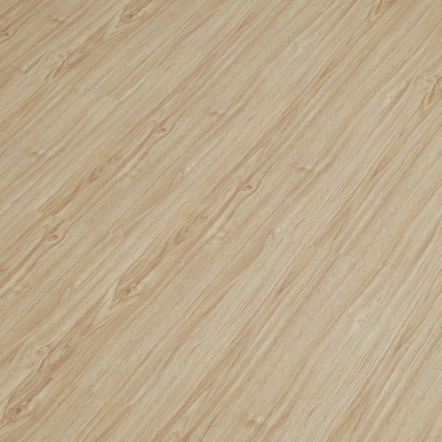 RIO GRANDE  - MP 1006