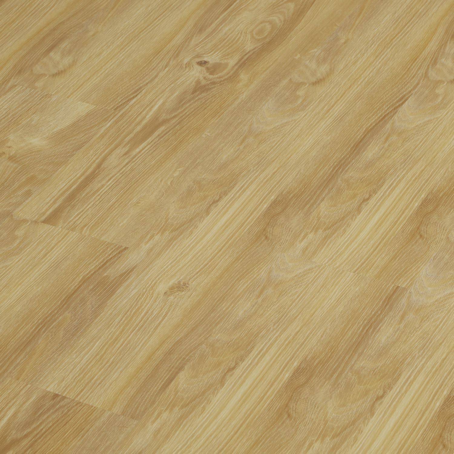 RIO GRANDE  - MP 1009