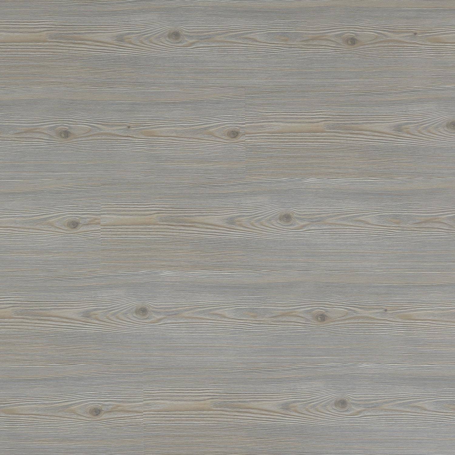 RIO GRANDE  -MP 2001