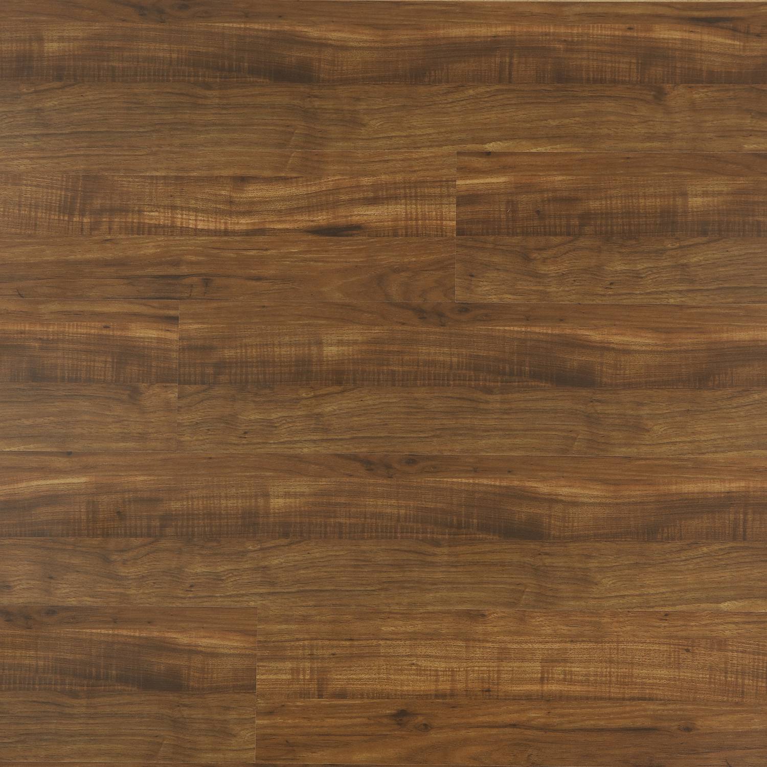 	RIO GRANDE - MP 2002