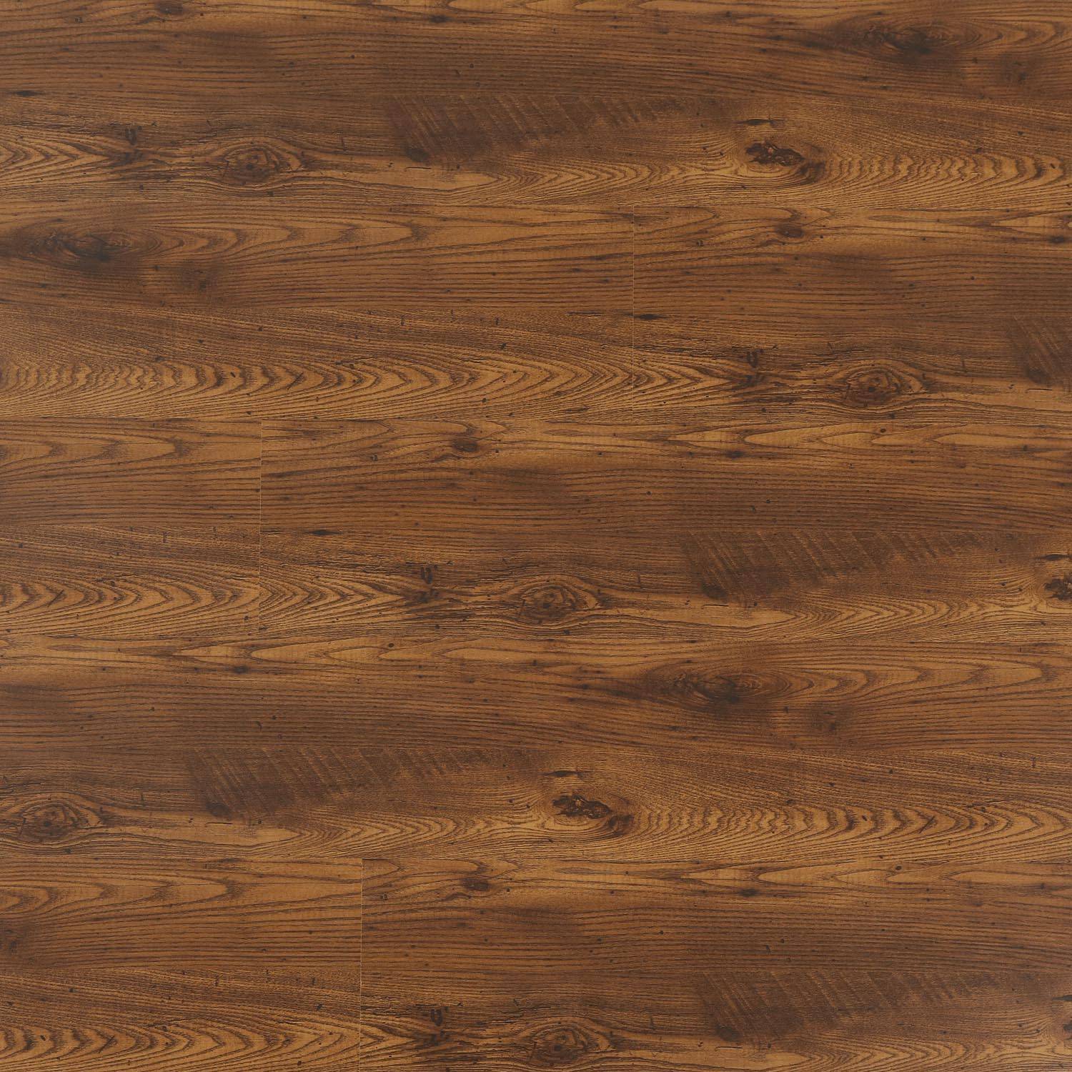 RIO GRANDE - MP 2004