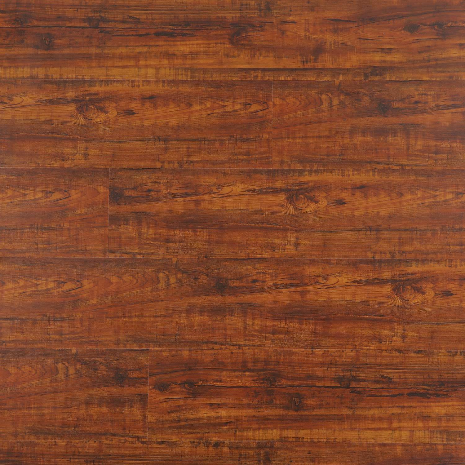 RIO GRANDE - MP 2008