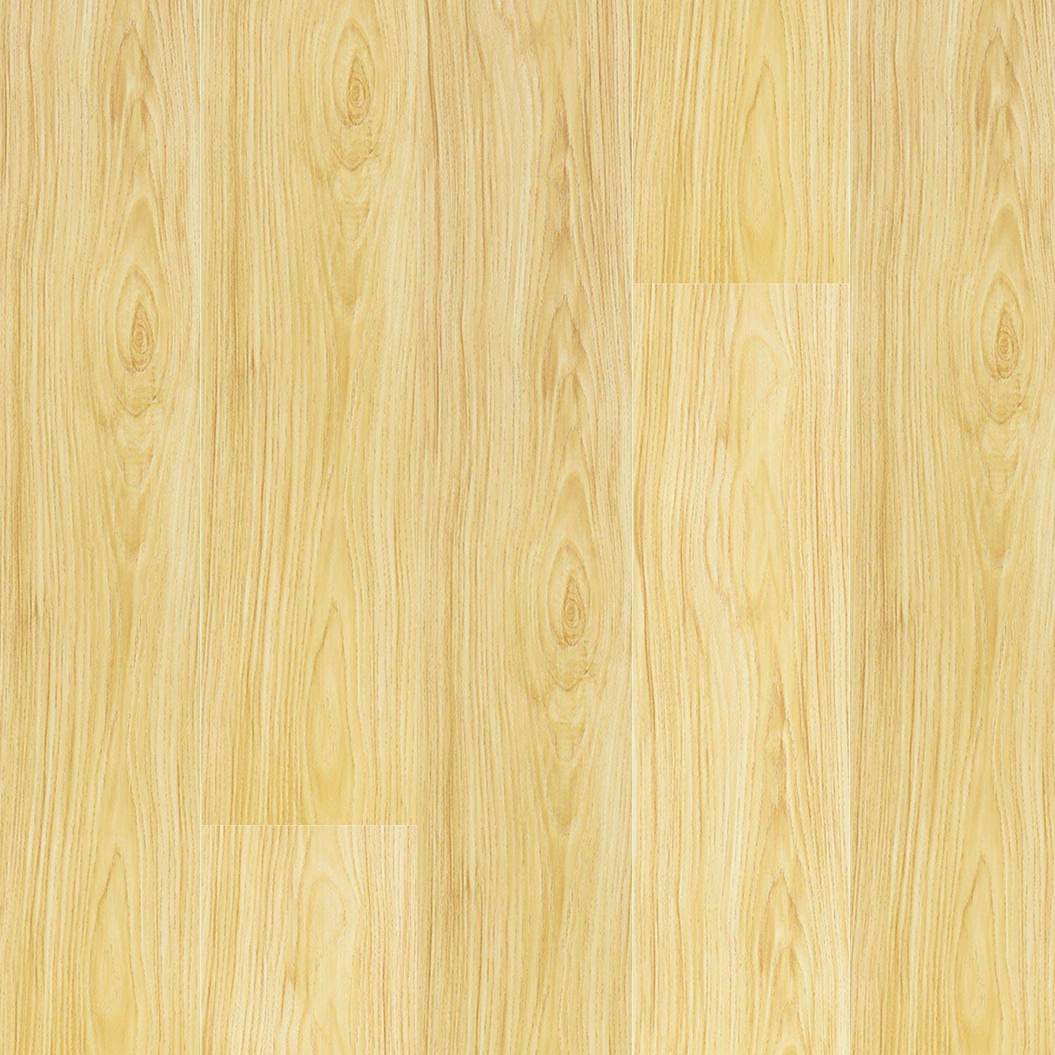 	RIO GRANDE - MP 2005