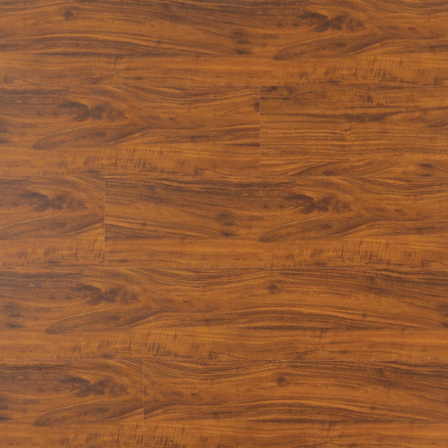 RIO GRANDE - MP 2007