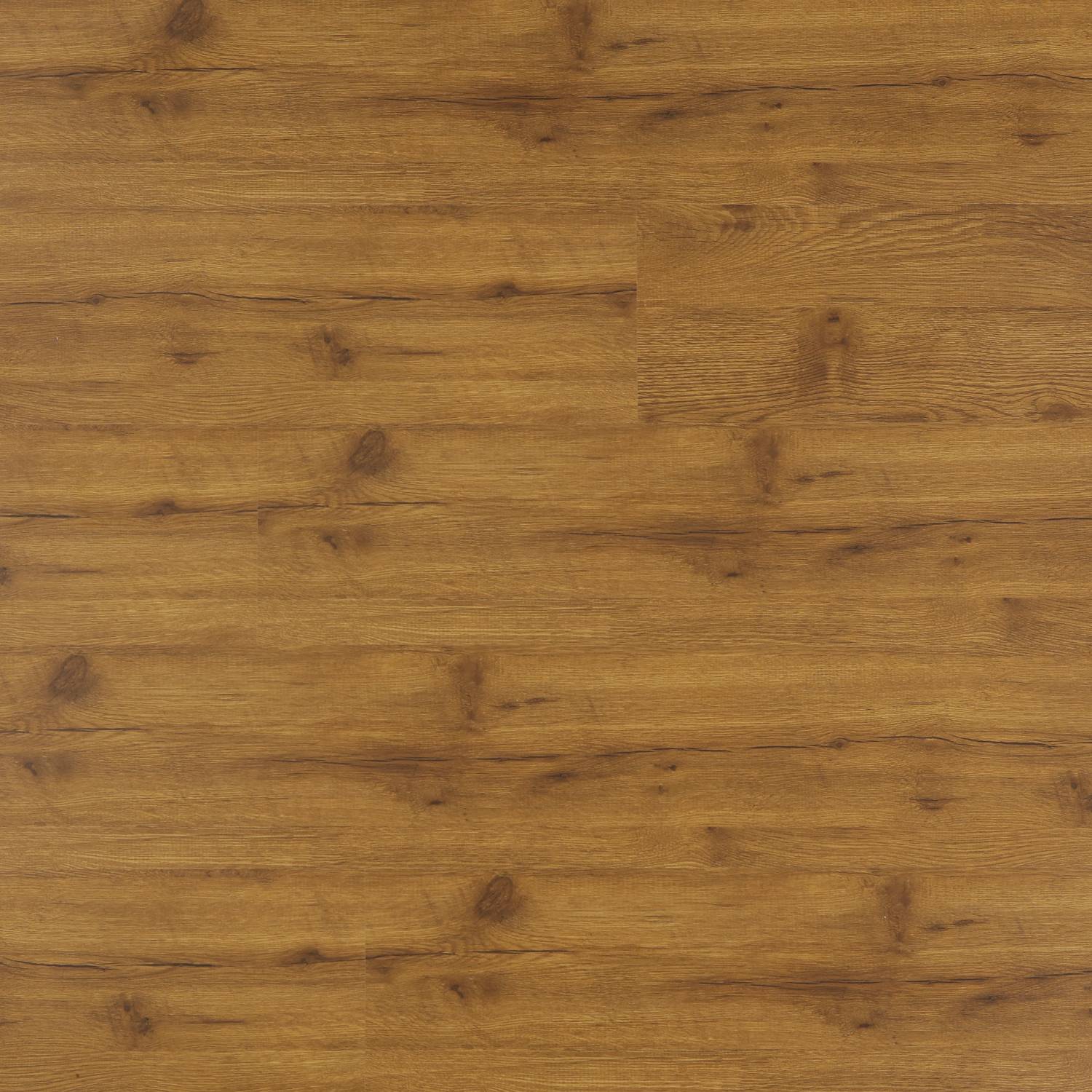 RIO GRANDE - MP 2011